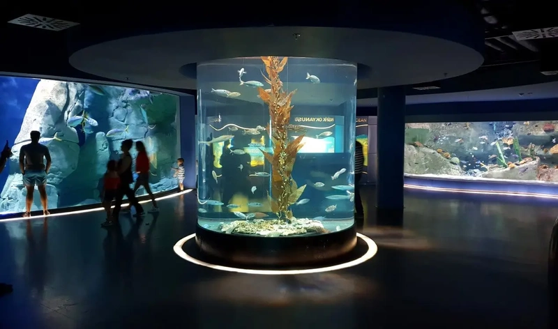 نمای داخلی آکواریوم استانبول